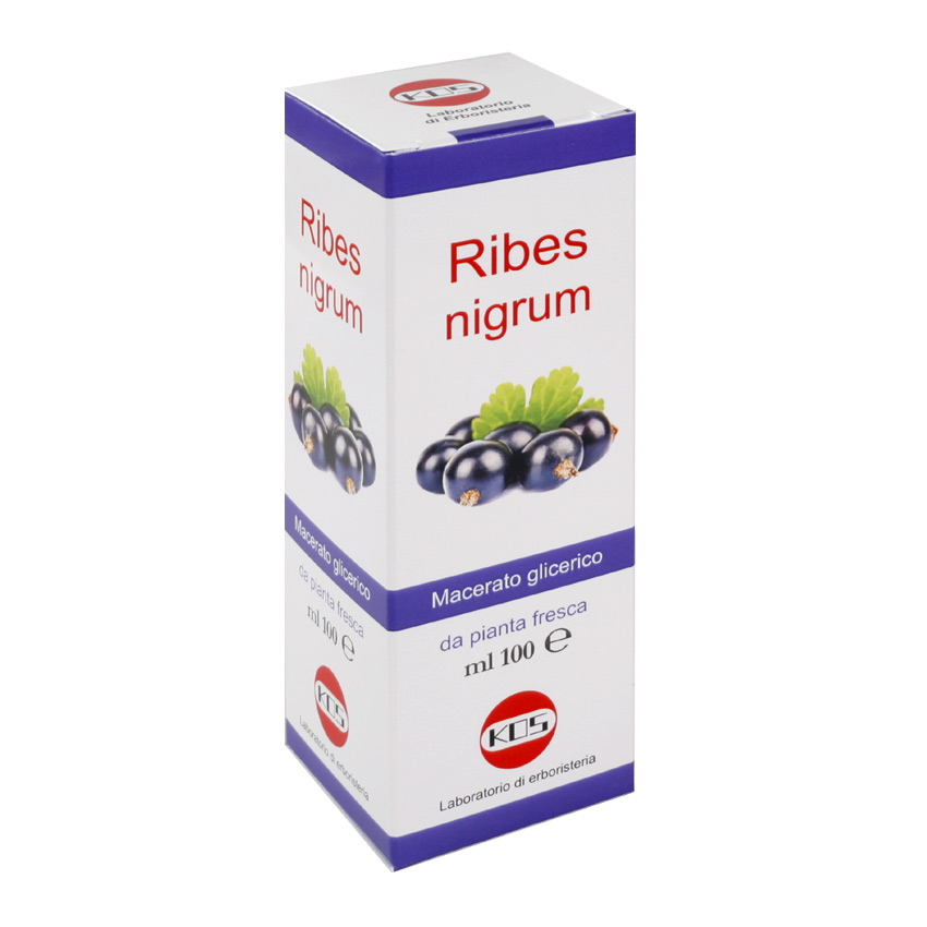 Ribes Nigrum M.G. ml 100